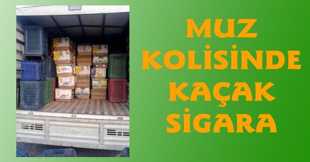 Muz Kolilerinde 20 Bin Paket Kaçak Sigara