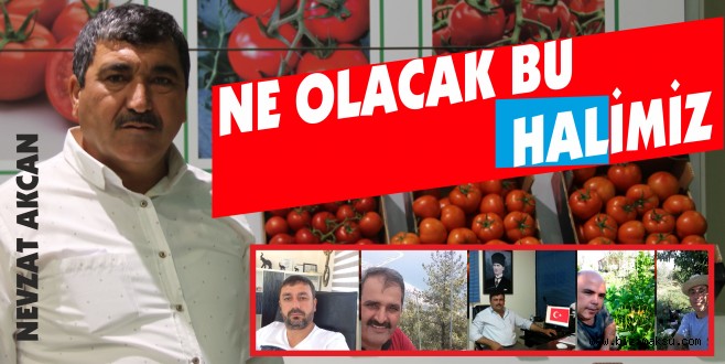 NE OLACAK BU HAL'İMİZ