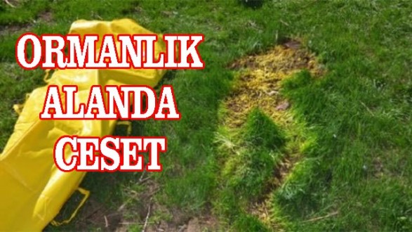 Ormanlık Alanda Gömülü Ceset