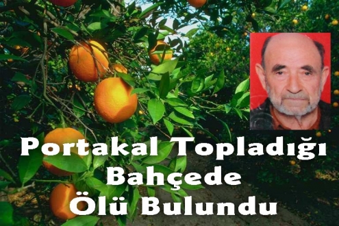 Portakal Topladığı Bahçede Ölü Bulundu