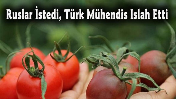 Ruslar İstedi, Türk Mühendis Islah Etti