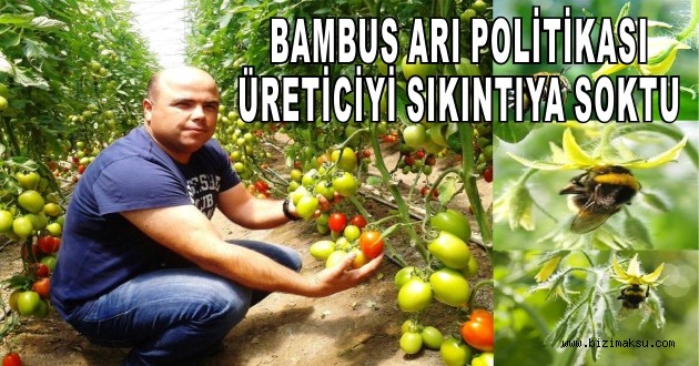 ŞAHİN : BAMBUS ARI POLİTİKASI ÜRETİCİYİ SIKINTIYA SOKTU