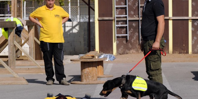 SAHİPSİZ KÖPEKLER UZMAN KURTARMA KÖPEKLERİ OLACAK