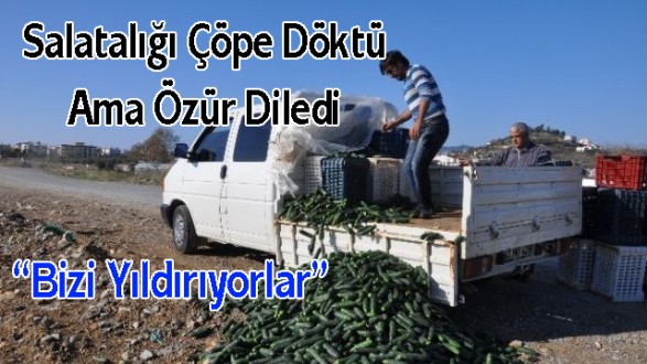 Salatalığı Çöpe Döktü Ama Özür Diledi