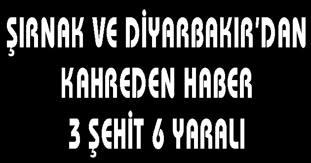 Şırnak ve Diyarbakır'da polise saldırı: 3 şehit