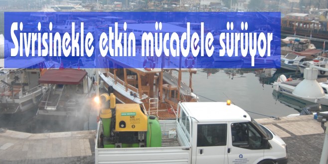 Sivrisinekle etkin mücadele sürüyor