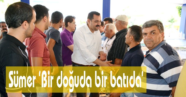 Sümer 'Bir doğuda bir batıda'