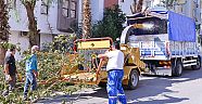 AĞAÇ DALLARI, BAHÇE ATIKLARI GÜBREYE DÖNÜŞÜYOR