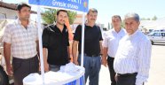 AK Parti Döşemealtı’da üyelik çalışması