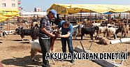 AKSU’DA KURBAN DENETİMİ