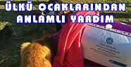 Antalya Ülkü Ocakları'ndan Sokak Hayvanlarına Barınak ve Mama Yardımı