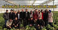 AÜ ÖĞRENCİLERİ DON VURMUŞ SEBZELERİ İNCELED