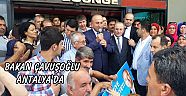 BAKAN ÇAVUŞOĞLU ANTALYA'DA