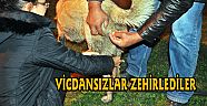 BUNLAR NEREDE YAŞAYACAK