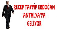 Büyük Usta Geliyor!..