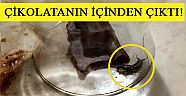 Çikolatanın içinden çıktı!