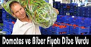 Domates ve Biber Fiyatı Dibe Vurdu