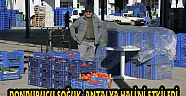 DONDURUCU SOĞUK, ANTALYA HALİ'Nİ ETKİLEDİ