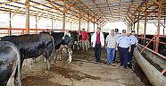 Döşemealtı Zabıtası Bayram Süresince Tam Kadro Görev Başında