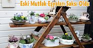 Eski Mutfak Eşyaları Saksı Oldu