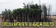 EXPO 2016 ANTALYA’YA İLK AĞAÇLAR DİKİLİYOR