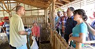 GAGAVUZ HEYET, TARIM İNCELEMESİNDE