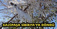 GAZİPAŞA SİBİRYA'YA DÖNDÜ