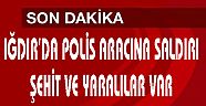 Iğdır'da polis aracına saldırı