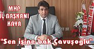 KAYA ; "Sen işine bak Çavuşoğlu"