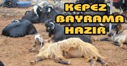 Kepez Kurban Bayramı’na hazır
