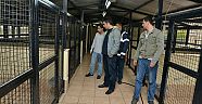 KONYAALTI BELEDİYESİ’NDEN SOKAK HAYVANLARINA SICAK YUVA