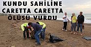 KUNDU SAHİLİNE CARETTA CARETTA ÖLÜSÜ VURDU