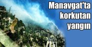 Manavgatta korkutan yangın