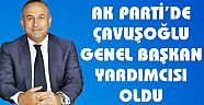 Mevlüt Çavuşoğlu Genel Başkanı Yardımcısı Oldu