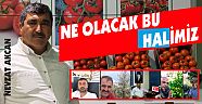 NE OLACAK BU HAL'İMİZ