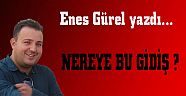 NEREYE BU GİDİŞ ?