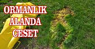 Ormanlık Alanda Gömülü Ceset