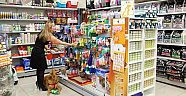 Petshop Sahiplerine Ücretsiz Eğitim