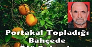 Portakal Topladığı Bahçede Ölü Bulundu