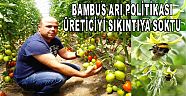 ŞAHİN : BAMBUS ARI POLİTİKASI ÜRETİCİYİ SIKINTIYA SOKTU