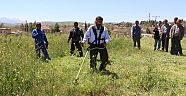 Samani, temizlik işçilerine yardım için ot biçti