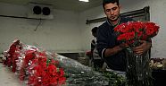 SOĞUK HAVA ÇİÇEK İHRACATINI VURDU