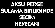 SULAMA BİRLİĞİNDE SEÇİM HEYECANI