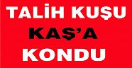 Talih kuşu Kaşa kondu