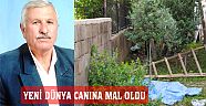 Yeni Dünya Toplarken Düşen Yaşlı Adam Hayatını Kaybetti