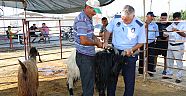 ZABITALARDAN KURBAN YERİ DENETİMİ