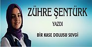 ZÜHRE ŞENTÜRK'ÜN KÖŞE YAZISI