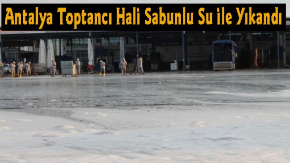 TOPTANCI HALİ TEMİZLENDİ