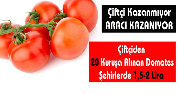 Üreticiden 20 Kuruşa Alınan Domates Şehirlerde 1,5-2 Lira