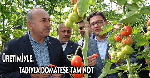 ÜRETİMİYLE, TADIYLA DOMATESE TAM NOT